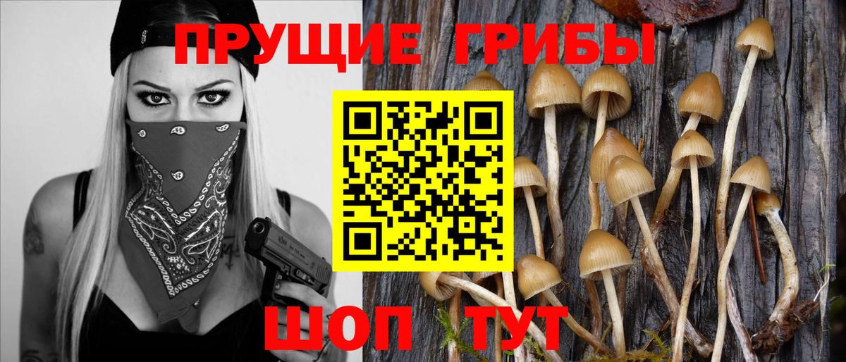 Долгопрудный  Псилоцибиновые грибы ЛСД  Вход с VPN 